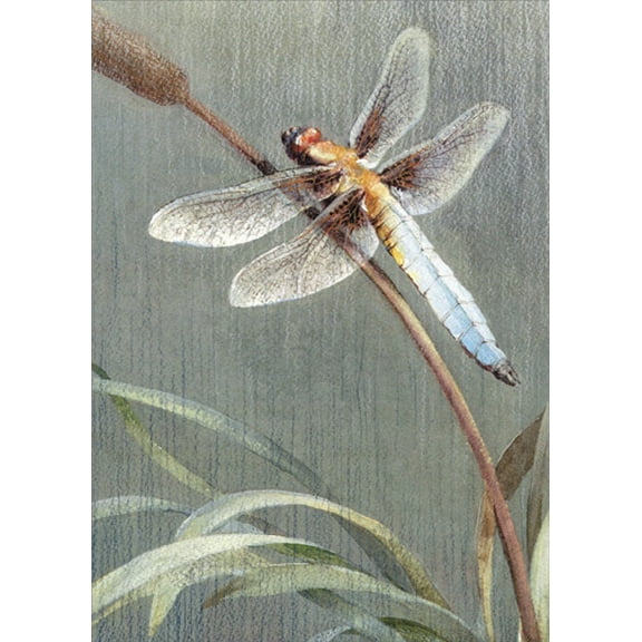 Tree-Free Greetings Dragonfly Sympathy Card
