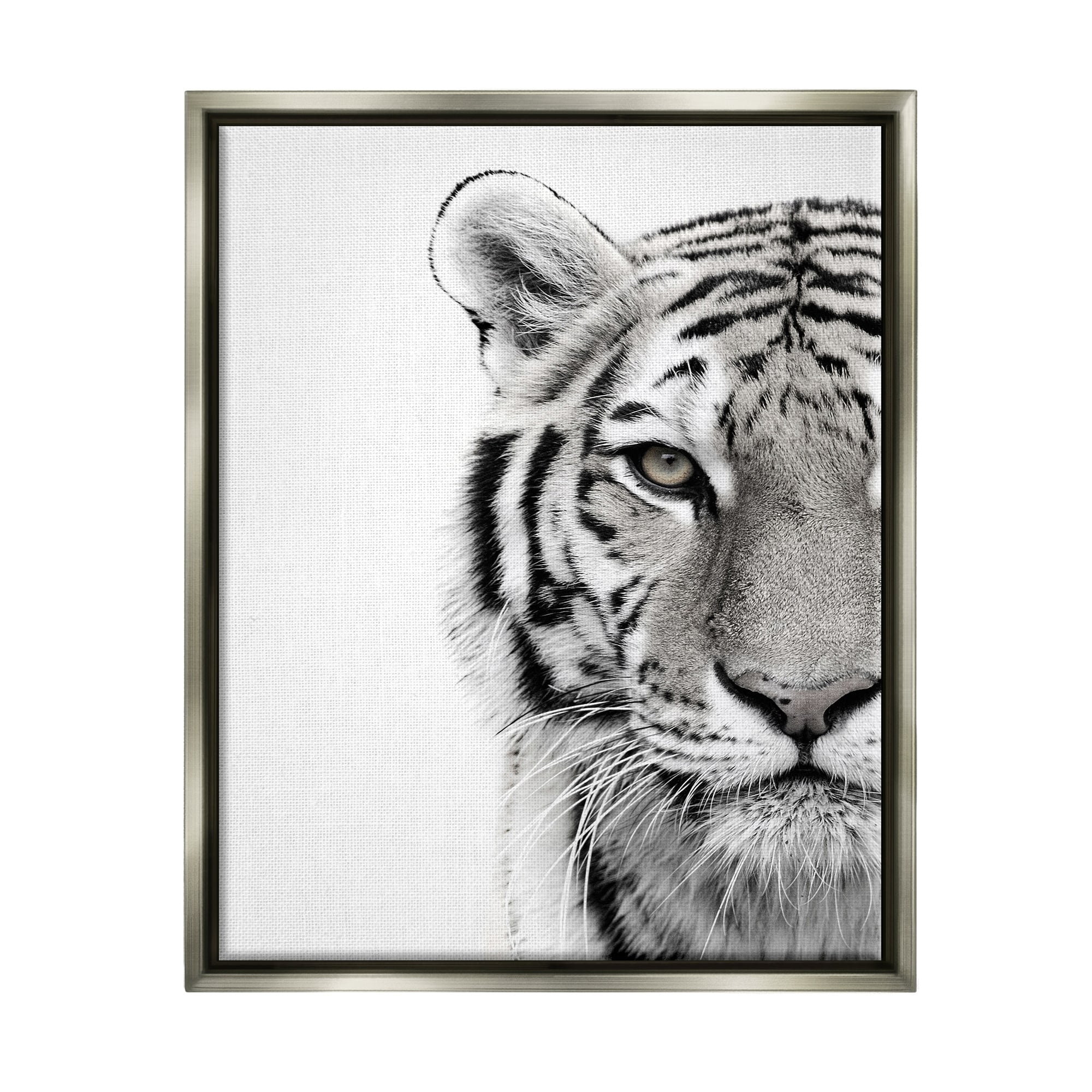 Stupell Industries White Tiger Close Up Black and White Photography Luster Gray Framed Floating Canvas Wall Art, 24x30, by Design Fabrikken