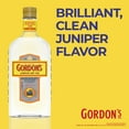 thumbnail image 5 of Gordon's London Dry Gin, 750 mL PET Bottle, 40% ABV, 5 of 10