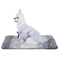 thumbnail image 5 of Ropa para mascotas Camisas para perros y gatos Camiseta linda para cachorros (Azul S), 5 of 5