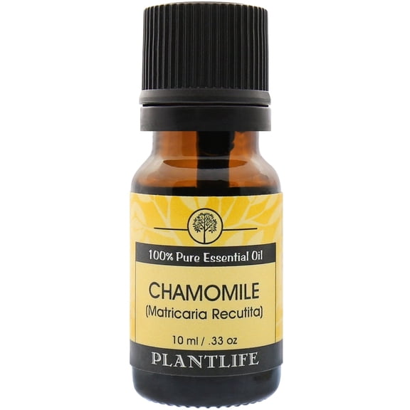 Plantlife Chamomile Aromatherapy Essential Oil - Straight From The Plant 100% Pure Therapeutic Grade - No Additives or Fillers - 10 ml