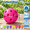 8 Colors-50 Pack, variant on Sky Blue 50 Pack Plastic Practice Baseballs for Indoor Outdoor and Play