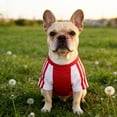 thumbnail image 5 of NovaStitch Pet Dog Jersey Mesh Fabric Soccer & Sportswear Lightweight Breathable Football Pet Clothes for Medium Dogs C One Size, 5 of 6