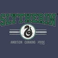 thumbnail image 2 of Boy's Harry Potter Distressed Slytherin Traits  Graphic Tee Navy Blue Heather Small, 2 of 4