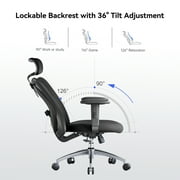 Sihoo M18 Mesh Ergonomic Office Chair with Adjustable Lumbar Support, High Back, Black