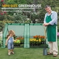 thumbnail image 4 of EAGLE PEAK Mini Garden Portable Greenhouse 71'' x 36'' x 36'' with Zipper Opening for Indoor Or Outdoor Plants, 4 of 10