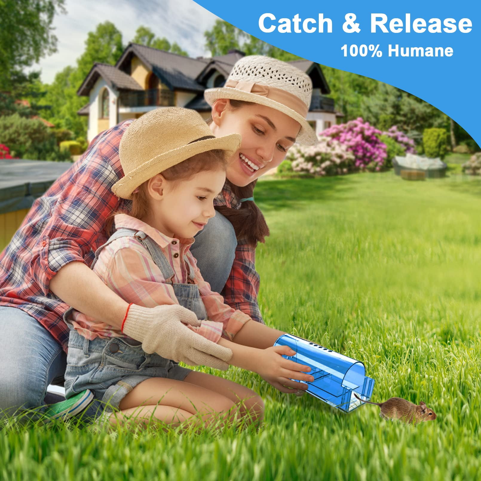 6 Pack Humane Mouse Traps No  Catch And Release Live Indoor For Home Reusable Mice Cage With Cleaning Brush(blue)