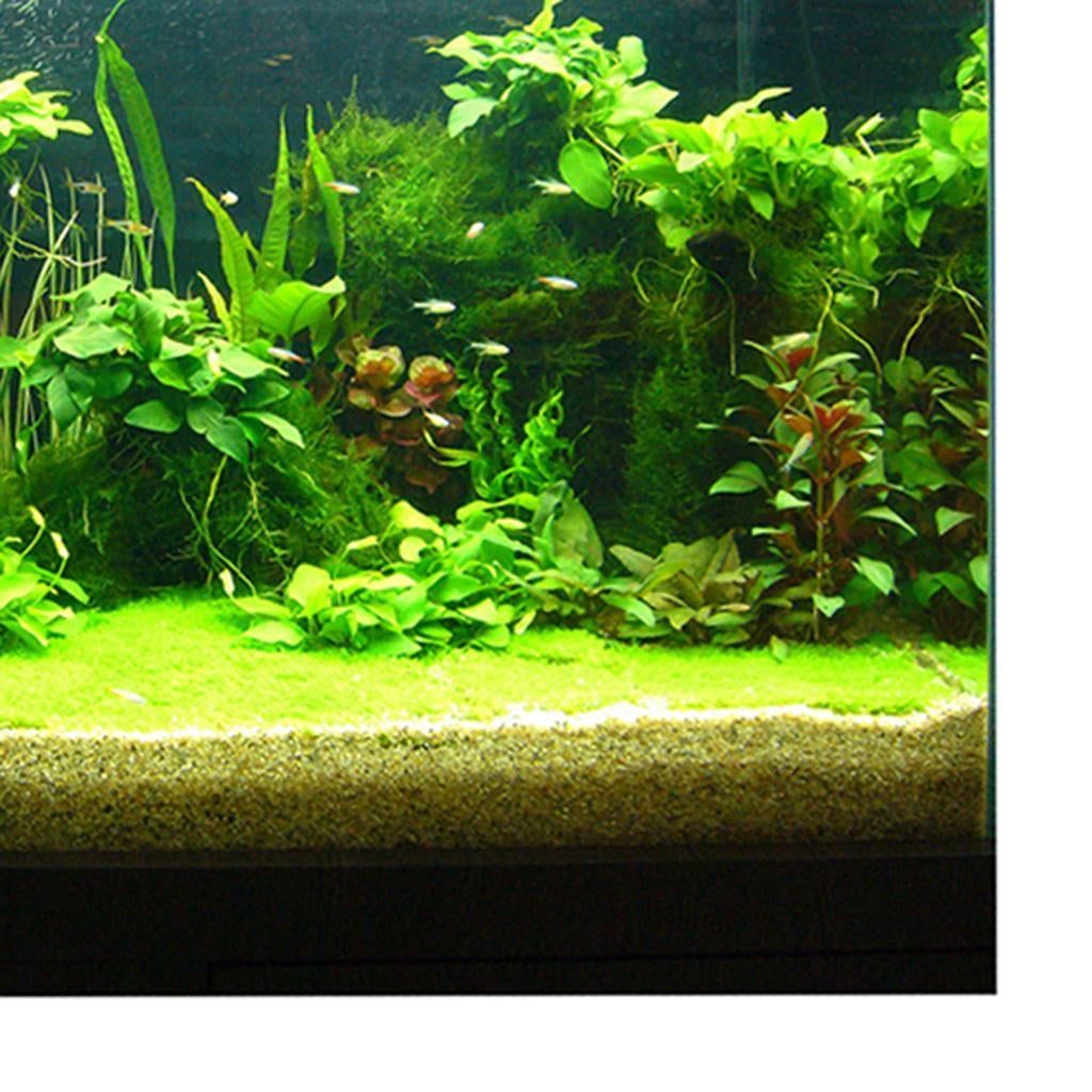Bvdfgk Aquarium Background Waterfall Plants Poster Tank 122x61cm