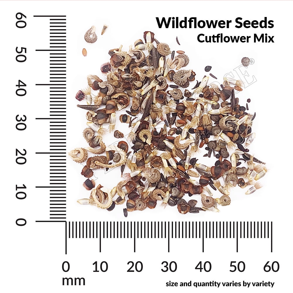 Ferry-Morse Economy 7.5G Wildflower Cutflower Mixture Annual Flower Seeds, Full Sun