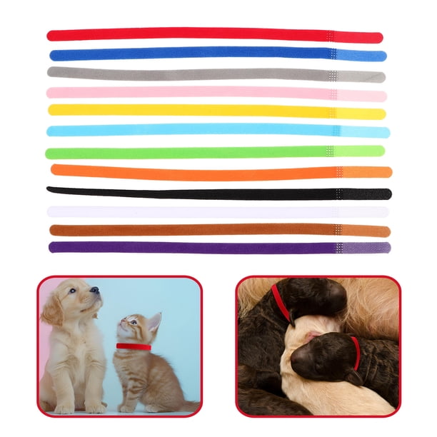 BEADCEST 36Ud De Identificación Para Mascotas Pequeñas Ajustables Y Coloridos De Nylon