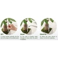thumbnail image 2 of Sustee Aquameter (Medium White Refillable - Bundle of 2) - Plant Soil Moisture Meter - Best for Potted Plants, 2 of 12