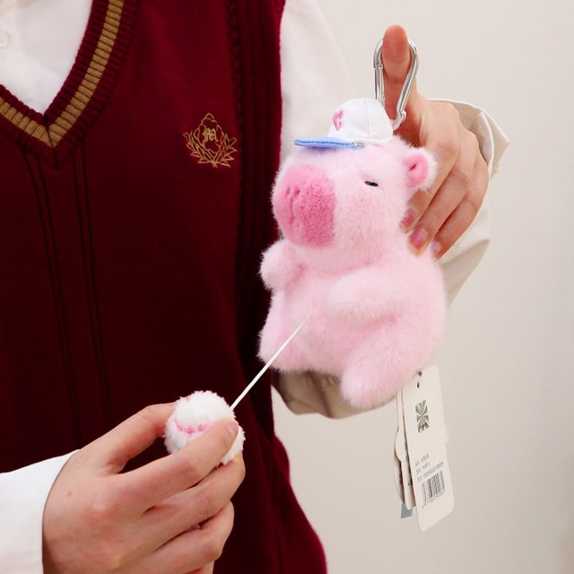 Poupée Capybara Véritable Poupée Jouet en Peluche Oreiller Cadeau d'Anniversaire Célébrité Internet Ragdoll DMH