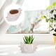 thumbnail image 4 of Maceta de concha marina para plantas, florero decorativo, maceta de cerámica, maceta de cerámica para plantas, maceta de cerámica serie océano para plantas suculentas, 4 of 7
