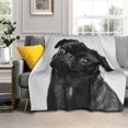 thumbnail image 1 of Cute Cartoon Puppy Pug Digital Print Blanket Thickened Flannel Nap Blanket, 1 of 1