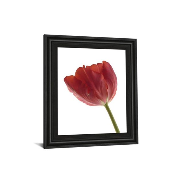 Art 4787 Classy Art 22 x 26 Po Tulipe Rouge Photo Pro Framed Print Wall Art