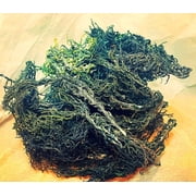 Seamoss Healing Green Sea Moss