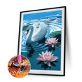 thumbnail image 2 of Cuadros Decorativos Kit de pintura de diamante de taladro redondo completo 5D DIY Swan in Lake (NH1021) Likrtyny embutido en tela, 2 of 6