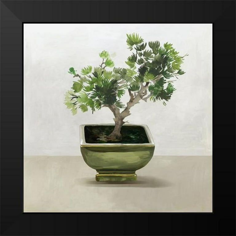 Jensen, Asia 20x20 Black Modern Framed Museum Art Print Titled - Bonsai  Tree I - Walmart.com