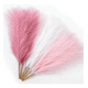 thumbnail image 1 of Pampas Secas Rosa Blanco 6psc Plantas Decorativas Pampas Decorativas Flores Artificiales Ramos de Flores Xtellar blanco, 1 of 3