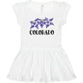 thumbnail image 3 of Inktastic Colorado Columbine Flowers Girls Toddler Dress, 3 of 5