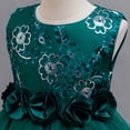 thumbnail image 6 of Girls Pageant Princess Sleeve Flower Ball Gown Dress, Kids Wedding Bridesmaid Pageant Party Formal Long Gown Princess Tulle Floral Embroidery Girl Birthday Party Dresses - 2-10T, 6 of 8