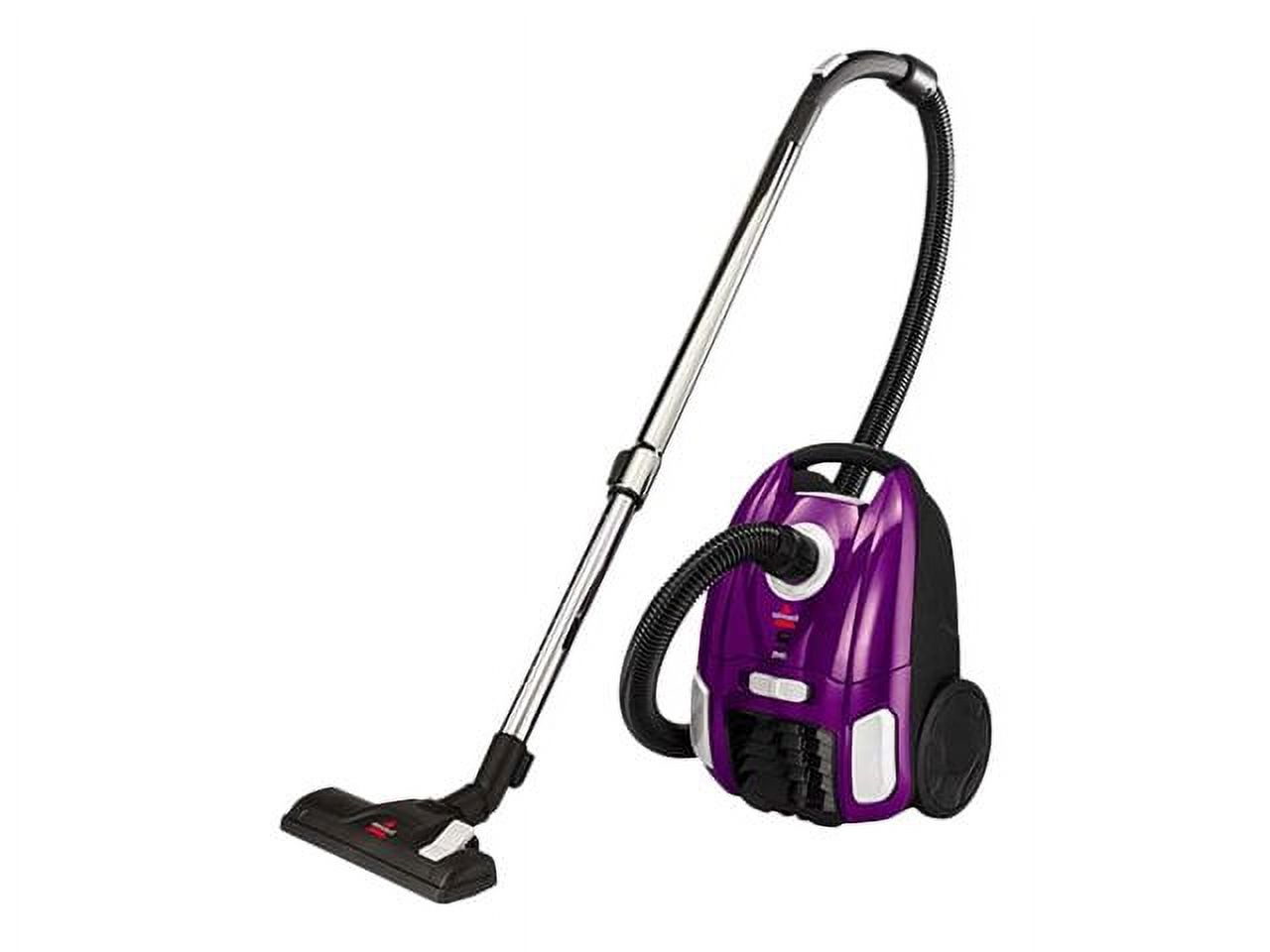 BISSELL Zing 2154A - Vacuum cleaner - canister - bag - grapevine purple