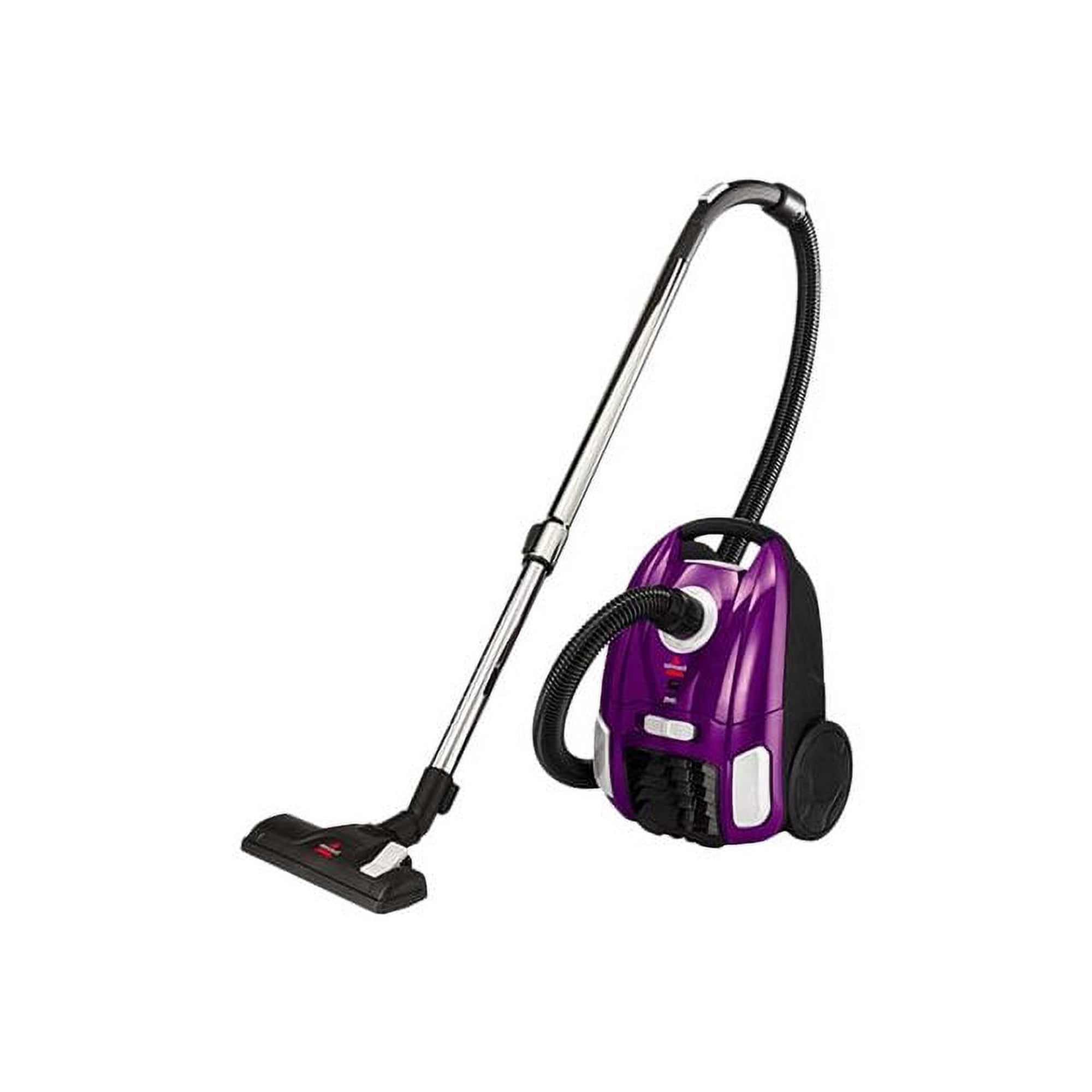 BISSELL Zing 2154A - Vacuum cleaner - canister - bag - grapevine purple