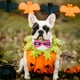thumbnail image 3 of 4 piezas de decoración de Halloween para mascotas, suministros de Halloween para mascotas, collar de pajarita para perro y gato, decoración de pajarita para Halloween, 3 of 5