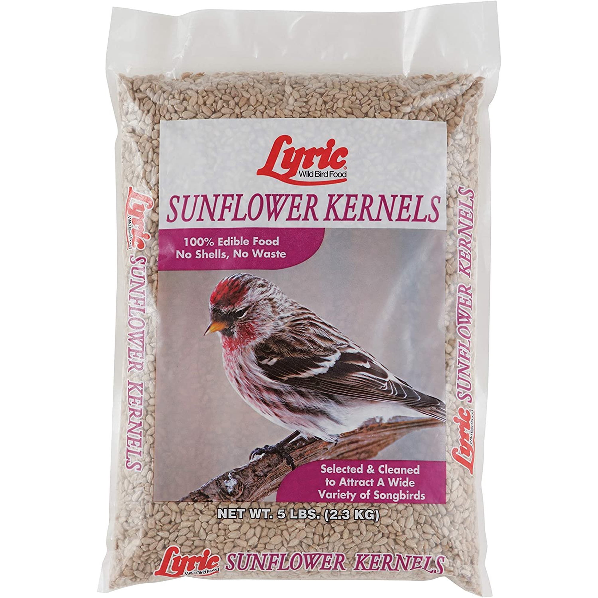 Lyric 2647445 Sunflower Kernels - 5 lb.