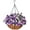 Purple Pink, variant on Artificial Hanging Plants Flowers Basket,Faux Silk Morning Glory Arrangement in inch Planter Flowerpot,Fake Hanging Flowers for Patio Garden Porch Deck Outdoor Spring Decor(Rose red)