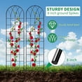 thumbnail image 4 of Slsy 4 Pack Metal Garden Trellis for Cllimbing Plants Outdoor, Flowers Tomato Cucumber Rose Vines Vegetable, Metal Coated Rustproof Garden Trellis for Patio, 60" x 16", 4 of 9