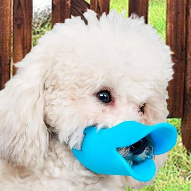 Dog mouth guard walmart deals