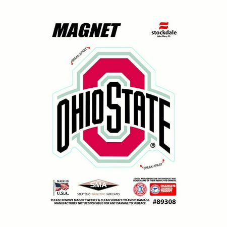Ohio State Buckeyes NCAA Outdoor Magnet - Team Color
