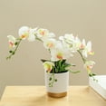 thumbnail image 2 of Artificial Flower Phalaenopsis Bonsai Decoration Artificial Orchid Flower, 2 of 8