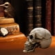 thumbnail image 4 of Craneo chico, 4 of 5
