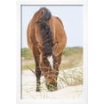 thumbnail image 2 of Wild Mustangs in Currituck National Wildlife Refuge, Corolla, Outer Banks, North Carolina, Animals Framed Art Print Wall Art by Michael DeFreitas Sold by Art.Com, 2 of 5