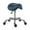 Queen Blue, variant on DR.LOMILOMI Ergonomic Saddle Seat Adjustable Pneumatic Swivel Rolling Stool Chair for Medical Hygienic Salon Home and Office 506 HAKU