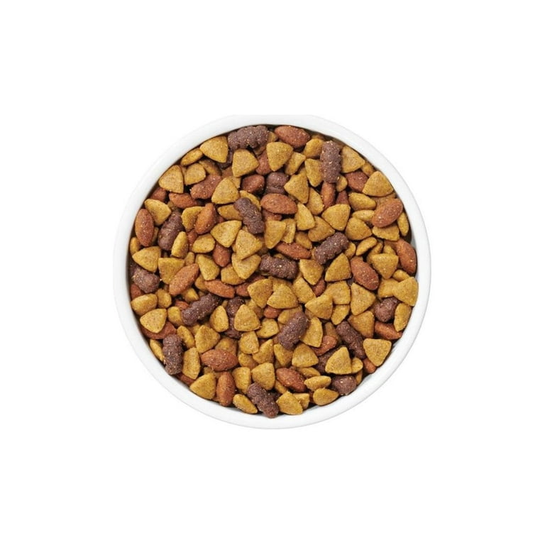 Dry dog food kibble hotsell