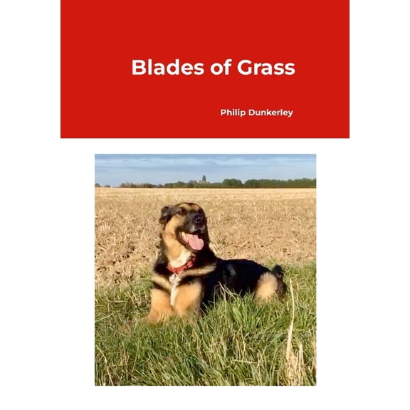 Blades of Grass, (Paperback)