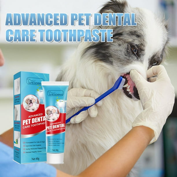 Best kitten cheap toothpaste