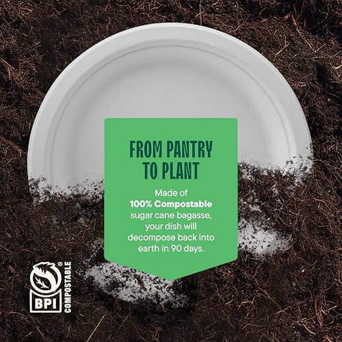 100% Compostable Paper Plates, Heavy Duty Disposable Plates [125-Pack] 9 Inch Plates - Eco-Friendly, Biodegradable Sugarcane Bagasse, Natural White 9" Sturdy Dinner Paper Plate Disposable
