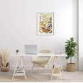 thumbnail image 2 of Stupell Industries Various Moth Species Insect Patterns Graphic Art White Framed Art Print Wall Art, Design by World Art Group, 2 of 7