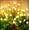 2packs, variant on Solar Lights Outdoor Waterproof, 2 Packs 16LED, Solar Garden, Patio, Garden Decor, Patio Decor, Firefly Outdoor, Unique Gifts for Women, Gifts for Grandma
