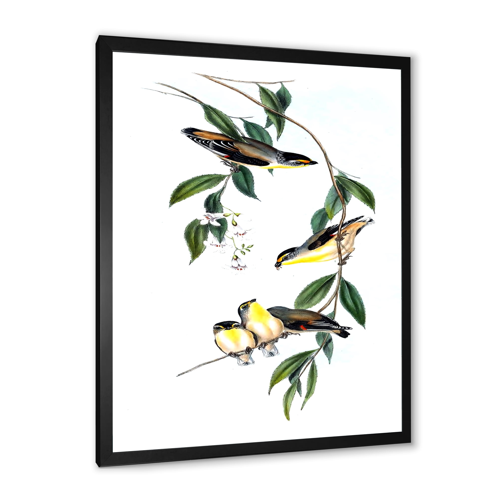 Designart 'Ancient Bird III' Traditional Framed Art Print