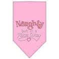 thumbnail image 2 of Christmas Pet and Dog Bandana Rhinestone, "Naughty, But In A Nice Way", 2 of 10