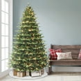 thumbnail image 3 of 7.5' Pre-Lit Alaskan Winter Fir Tree with Dual-Color LED Lights, 3 of 5