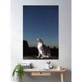 thumbnail image 2 of Tabby Cat On Rooftop At Night Poster Wall Art, Modern Wall Decor, 16x24 UNFRAMED, 2 of 3