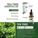 thumbnail image 2 of Aceite de árbol de té Aceite esencial de árbol de té hidratante para piel manchada Anti espinillas Verrugas ANGGREK Otros, 2 of 5