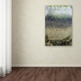 thumbnail image 3 of Trademark Fine Art 'Layers' Canvas Art by Nicole Dietz, 3 of 3