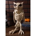 thumbnail image 2 of Crazy Bonez - Owl Skeleton Decoration - Owl Skeleton, 2 of 6